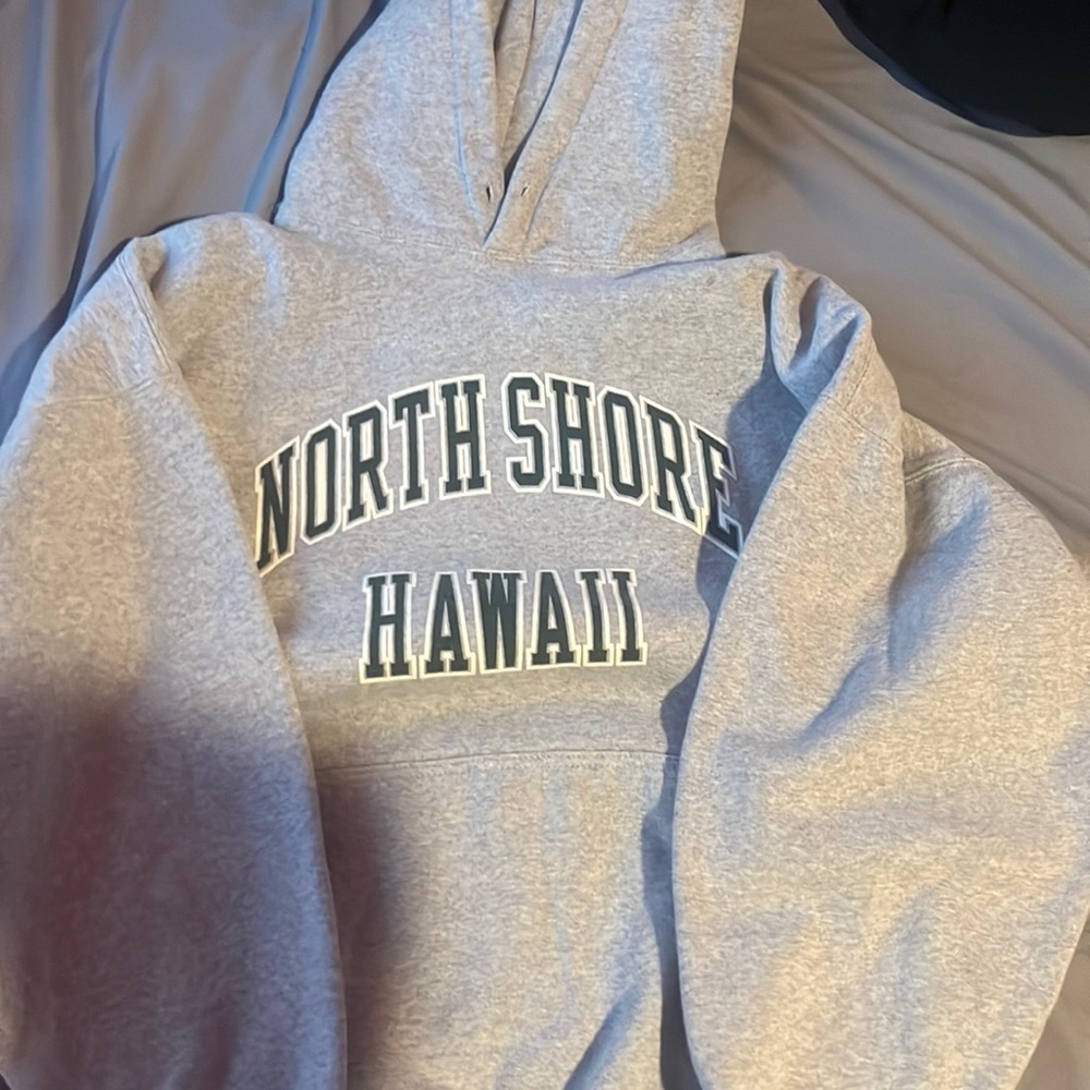 brandy Melville, North Shore, Hawaii gray hoodie